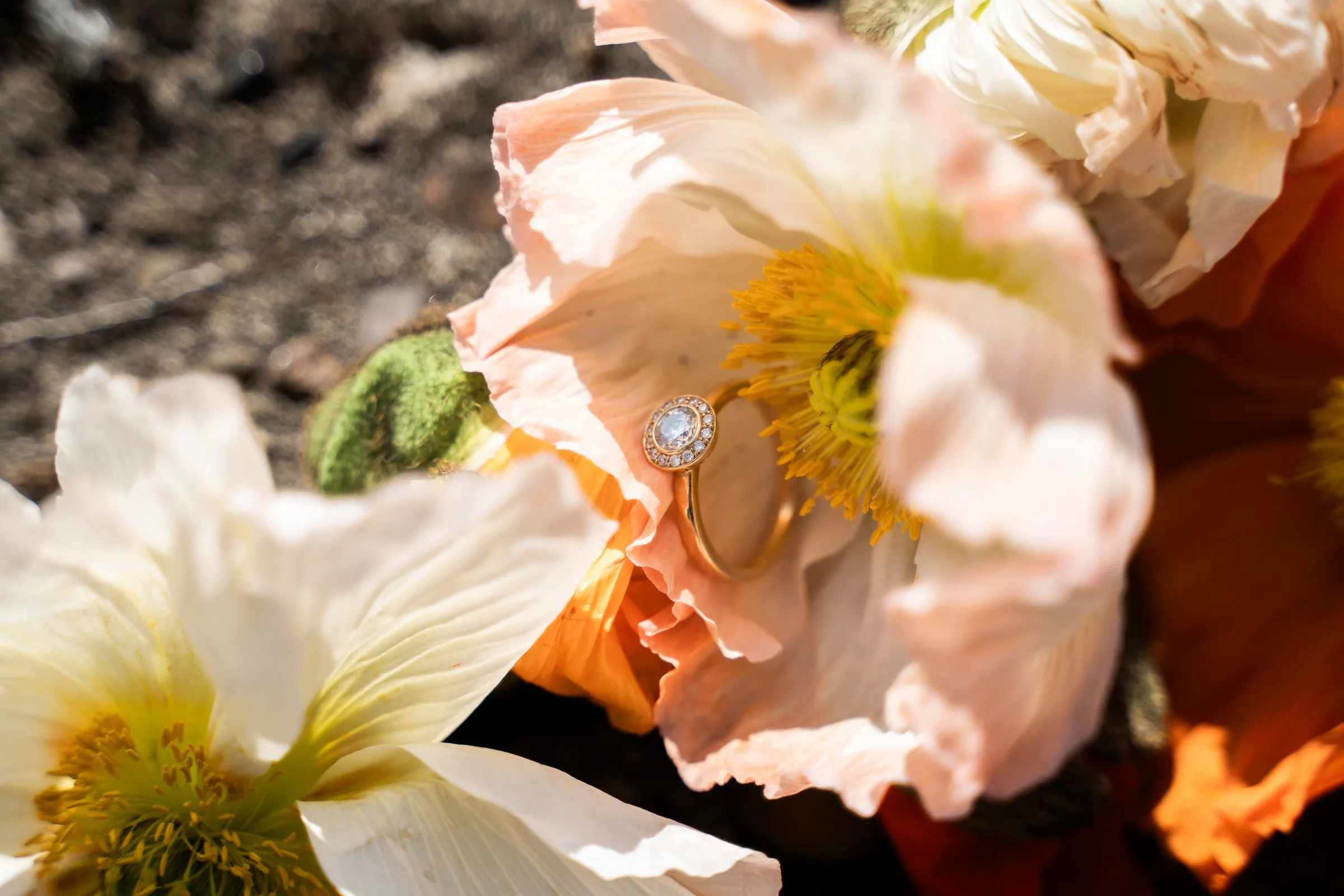 Diamantringe zwischen Mohnblüten