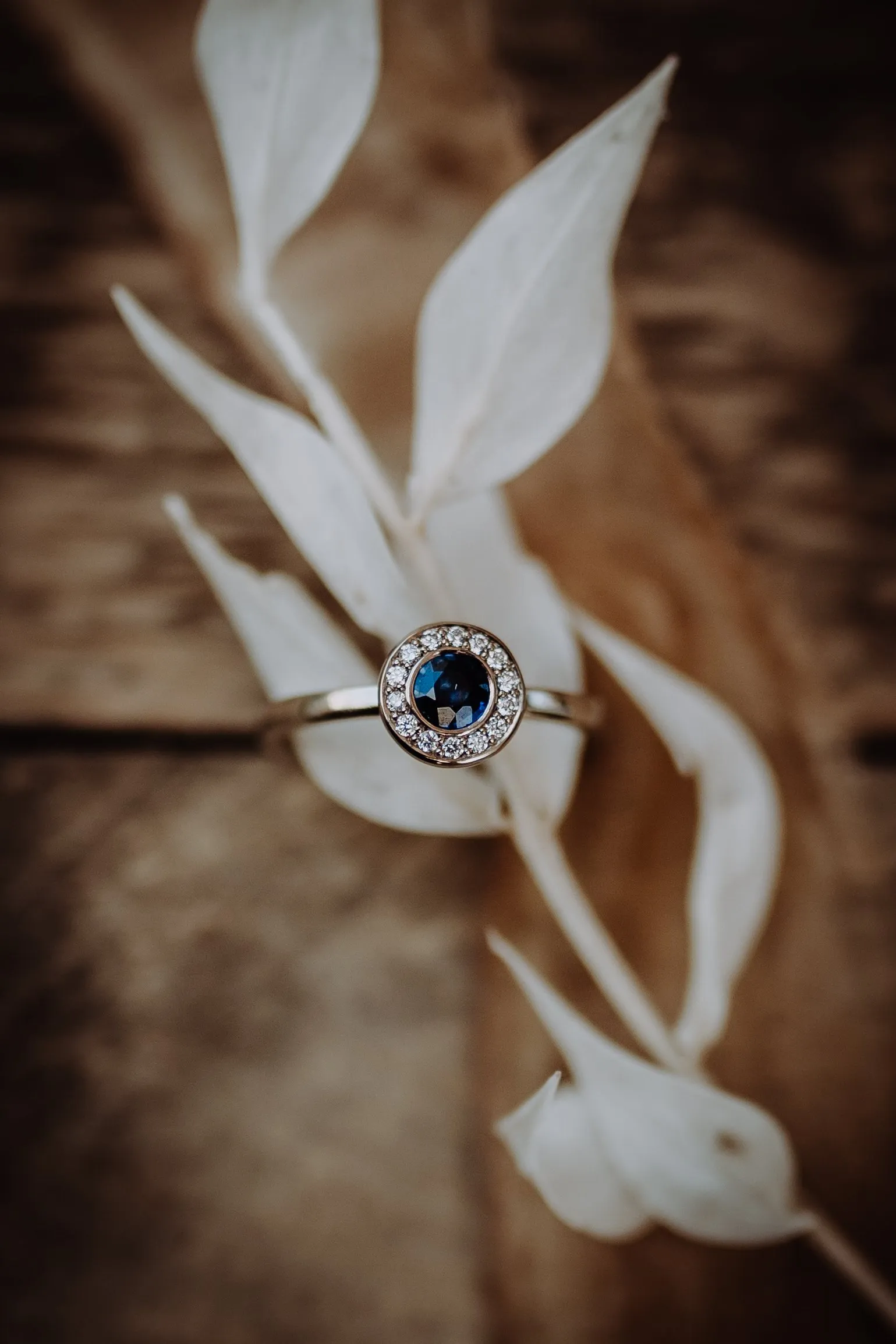 Saphirring mit Diamantkranz an einem hellen Zweig